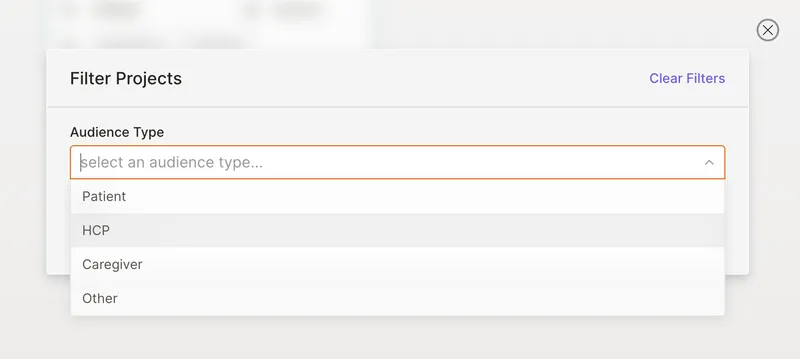 Project search and filtering interface